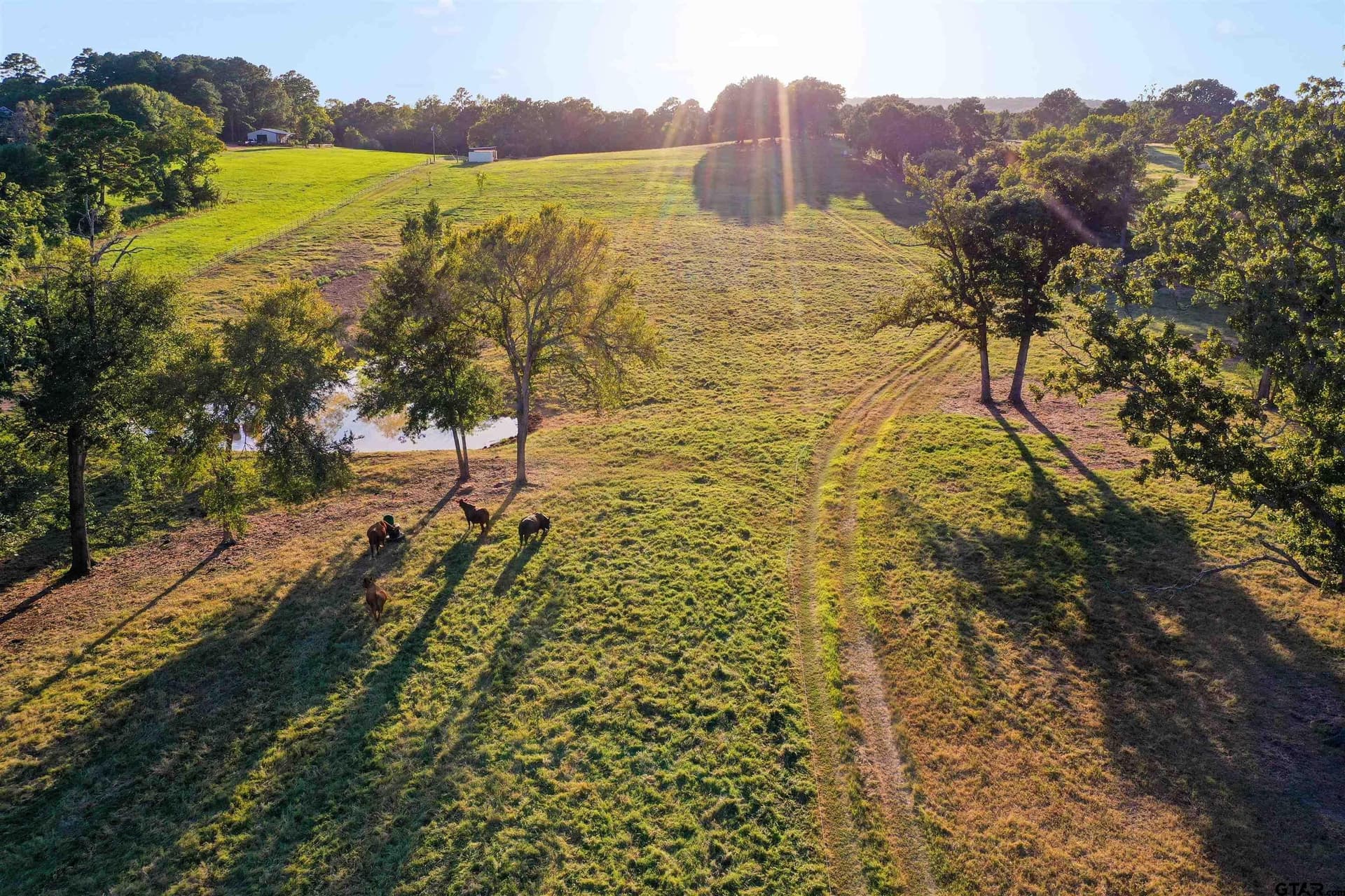 14.07 acres in Smith County - photo 11