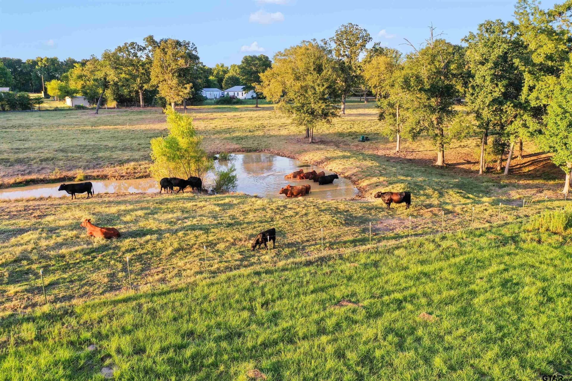14.07 acres in Smith County - photo 25
