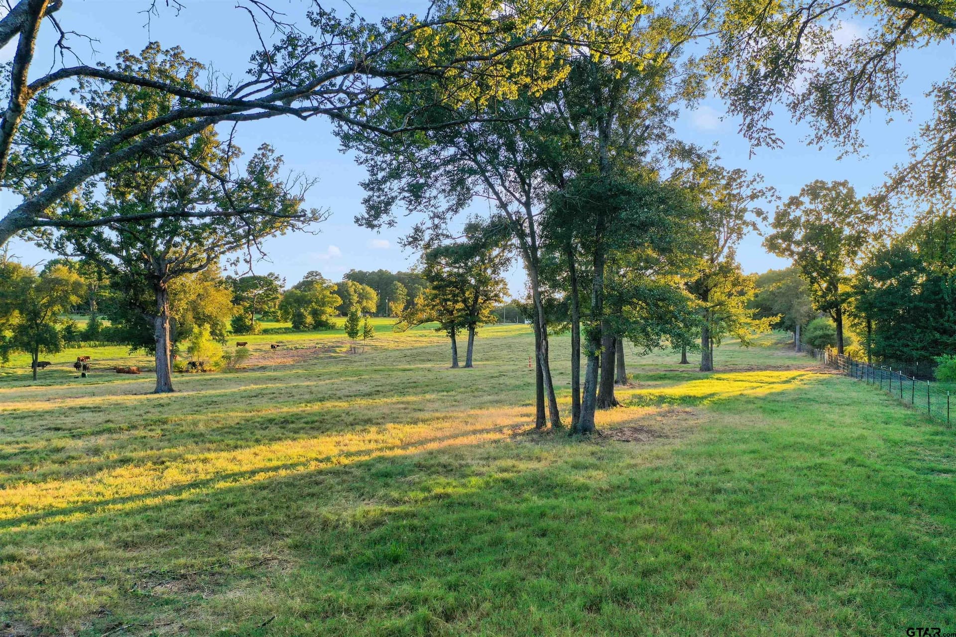 14.07 acres in Smith County - photo 33