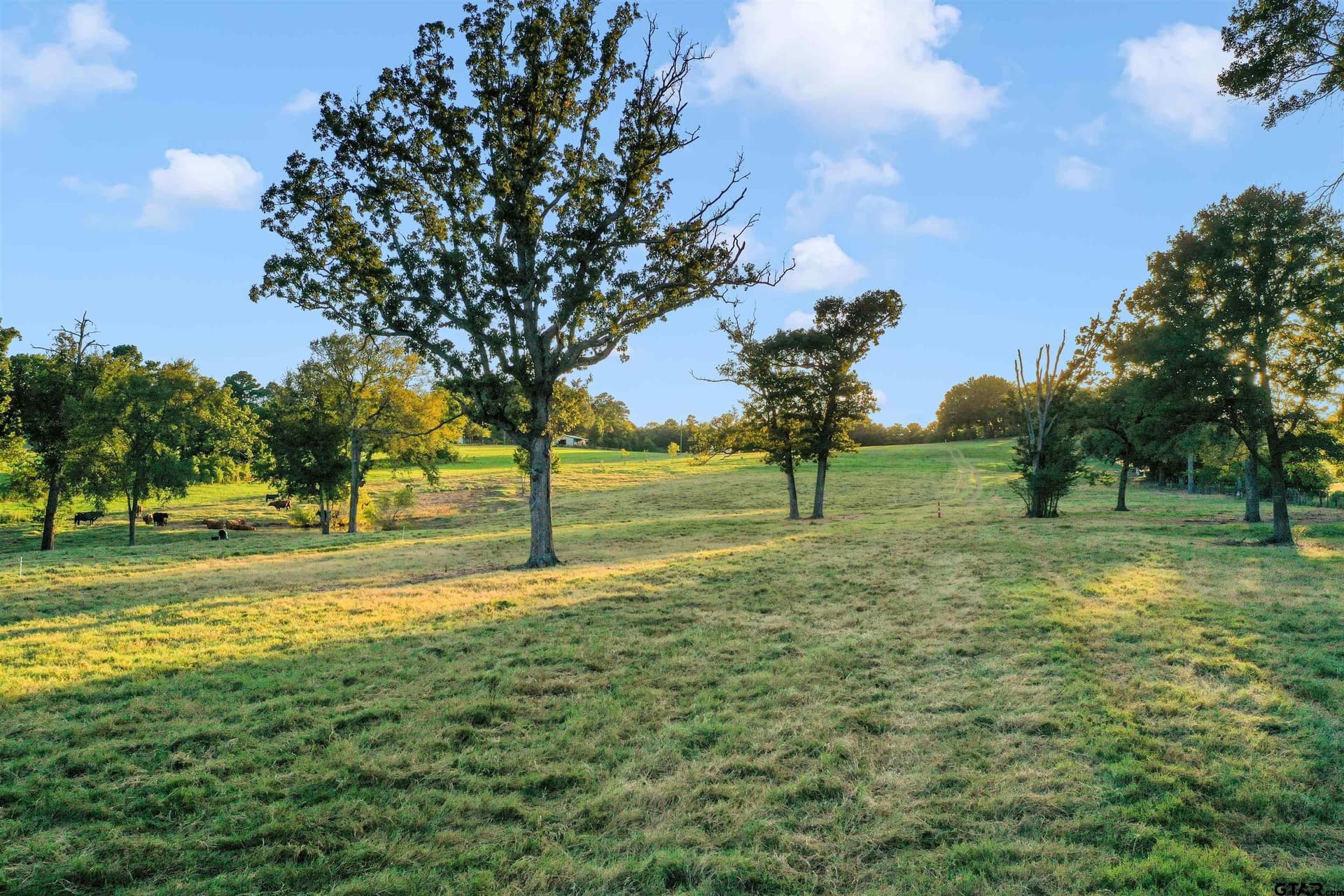 14.07 acres in Smith County - photo 32
