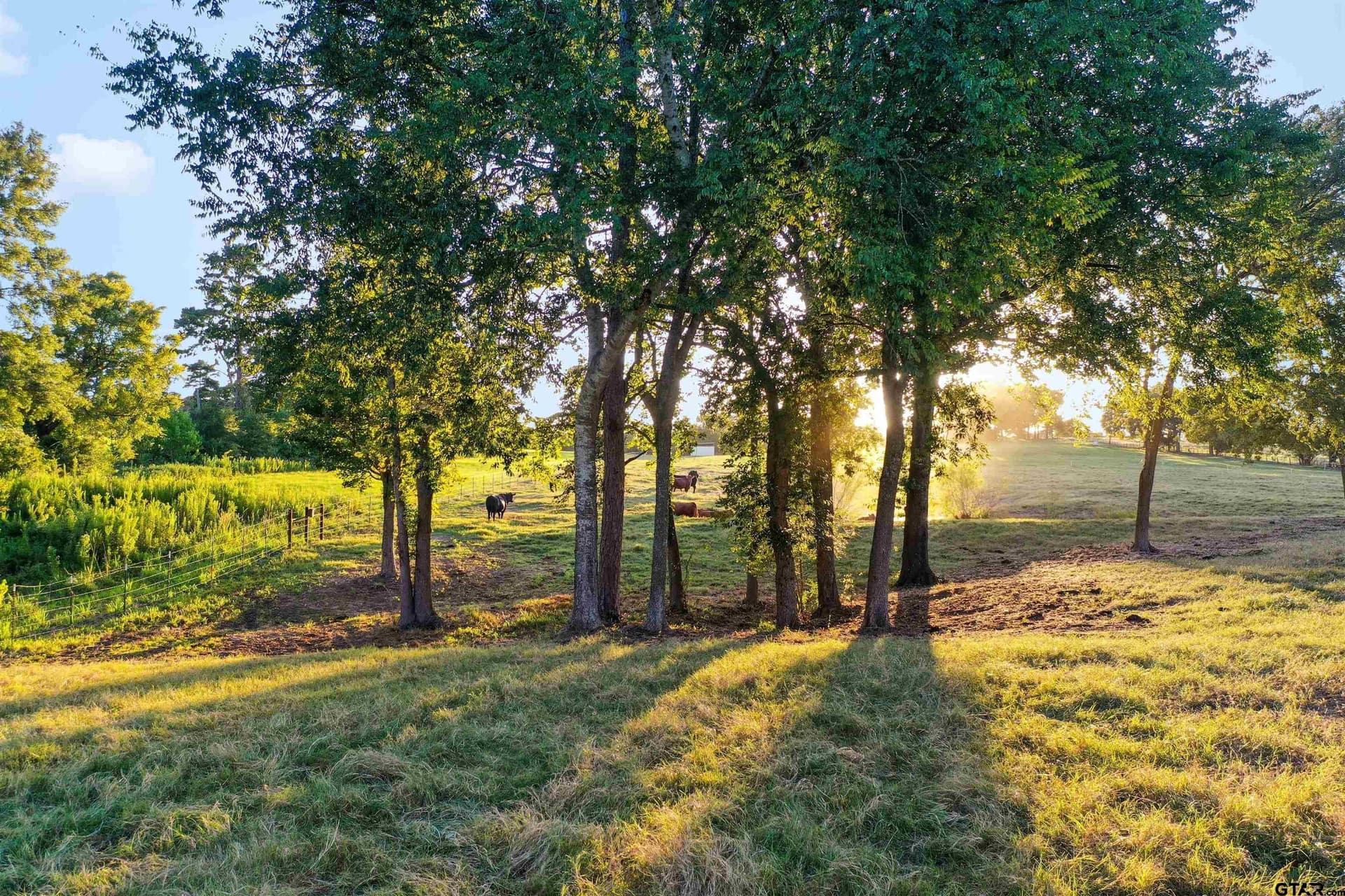 14.07 acres in Smith County - photo 28