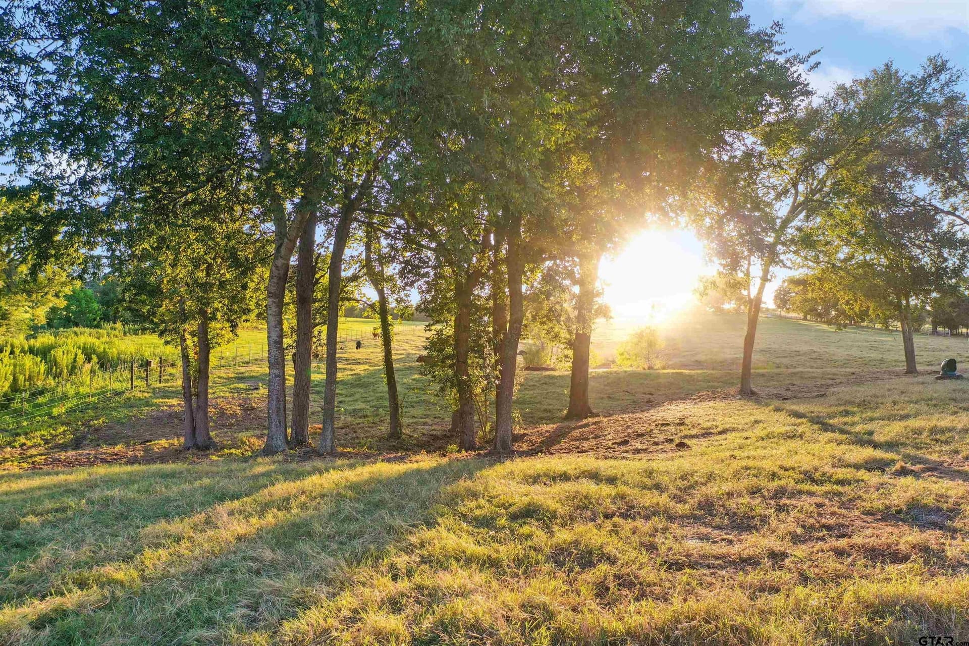 14.07 acres in Smith County - photo 27