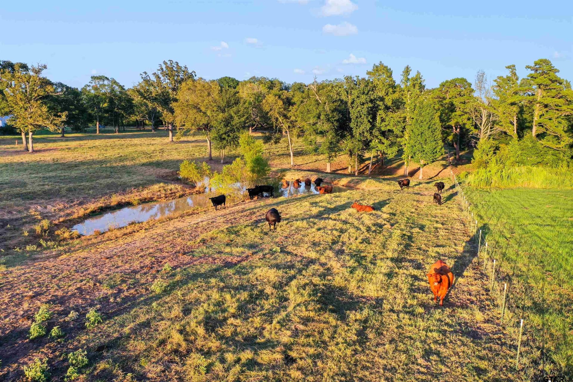 14.07 acres in Smith County - photo 23