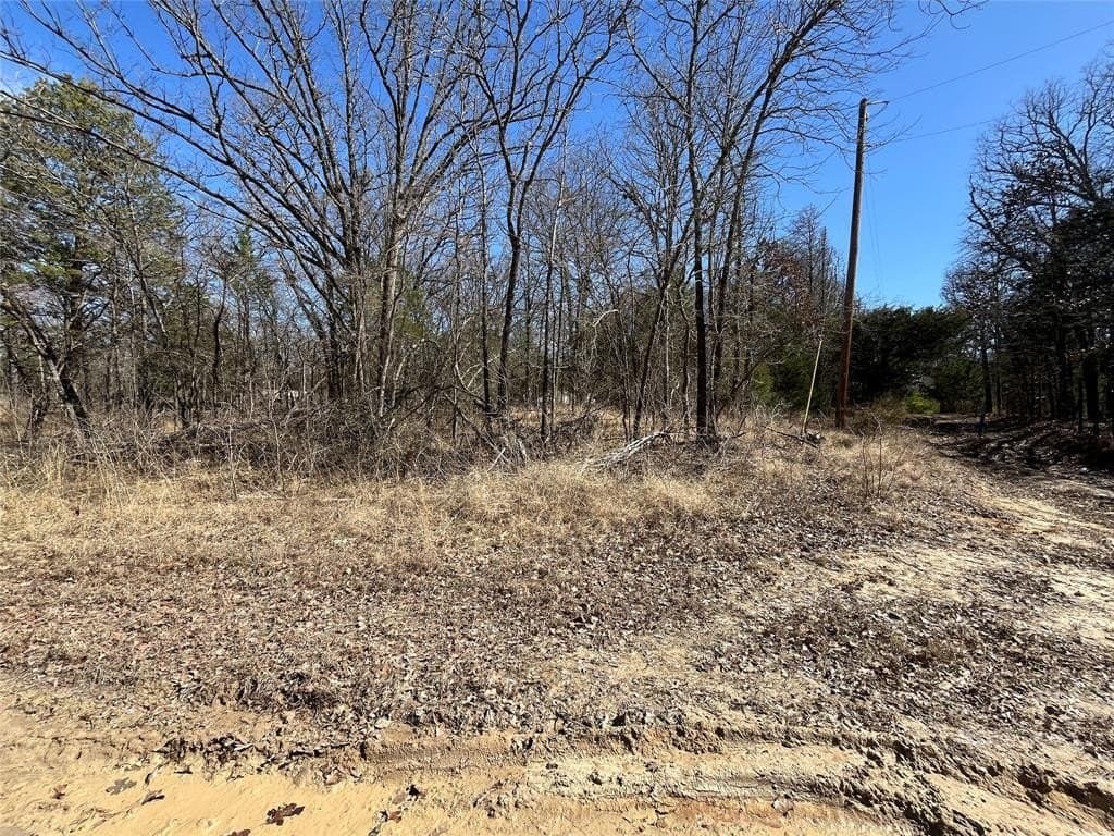 0.49 acres in Hunt County gallery image 2