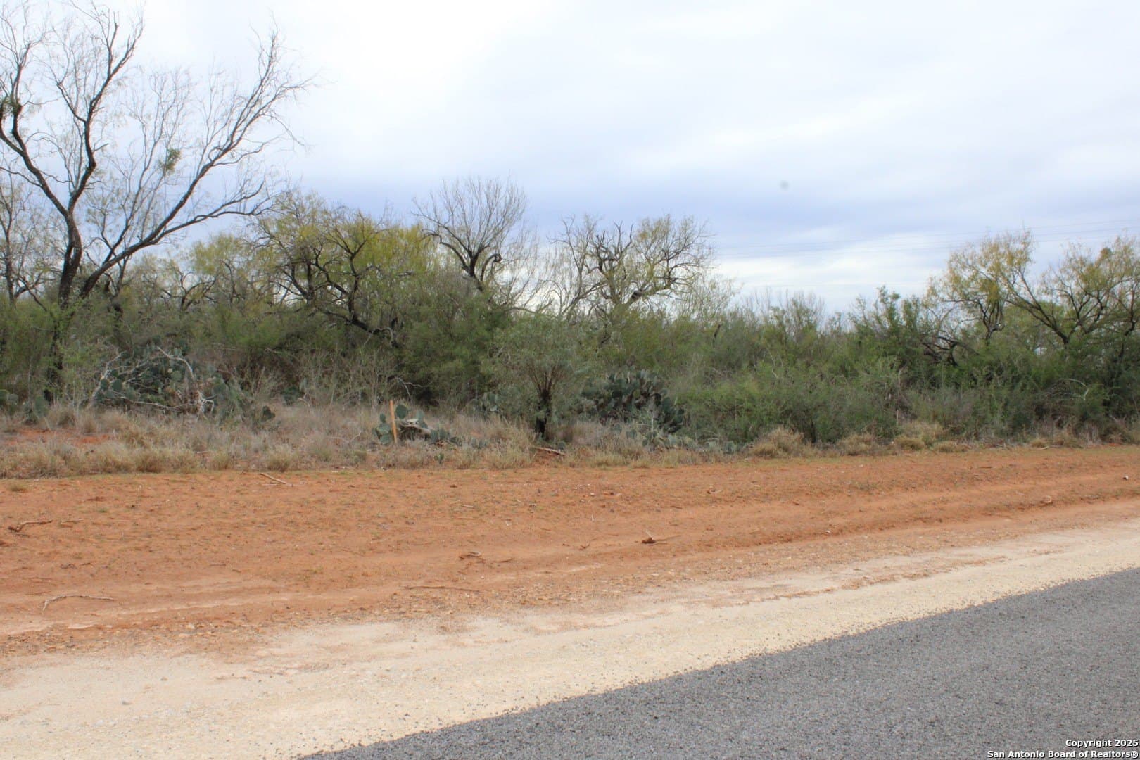 0.22 acres in Frio County gallery image 2