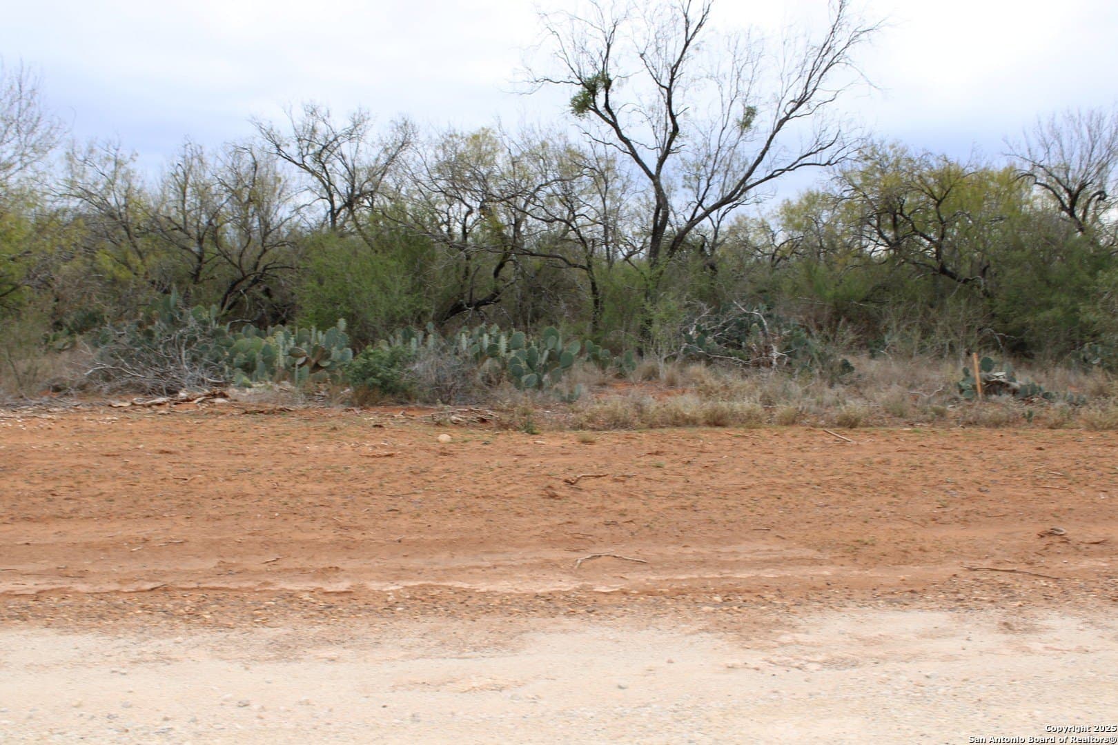 0.22 acres in Frio County - photo 7