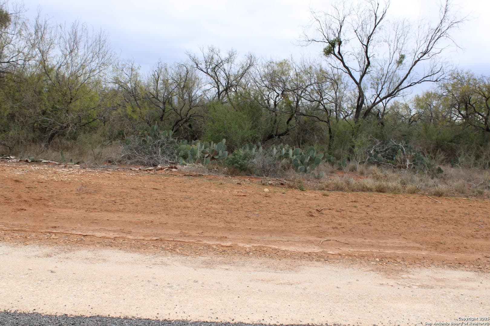 0.22 acres in Frio County featured view