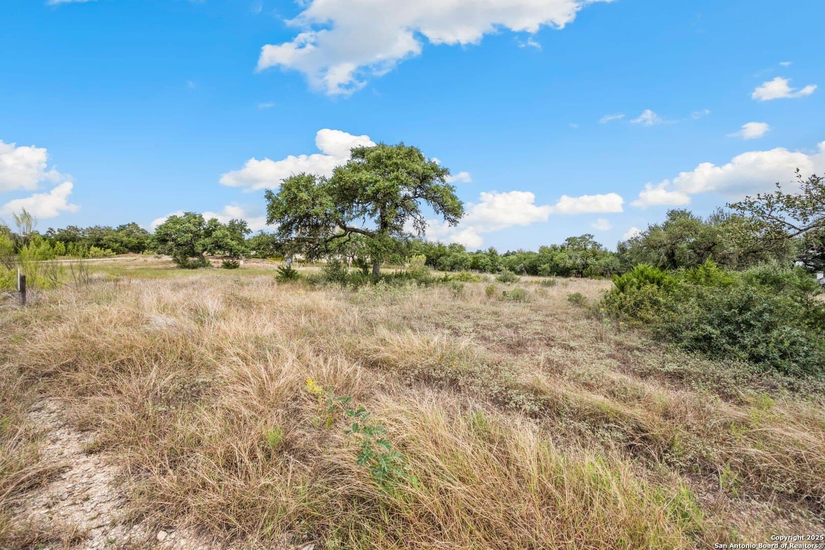 1.18 acres in Comal County gallery image 3