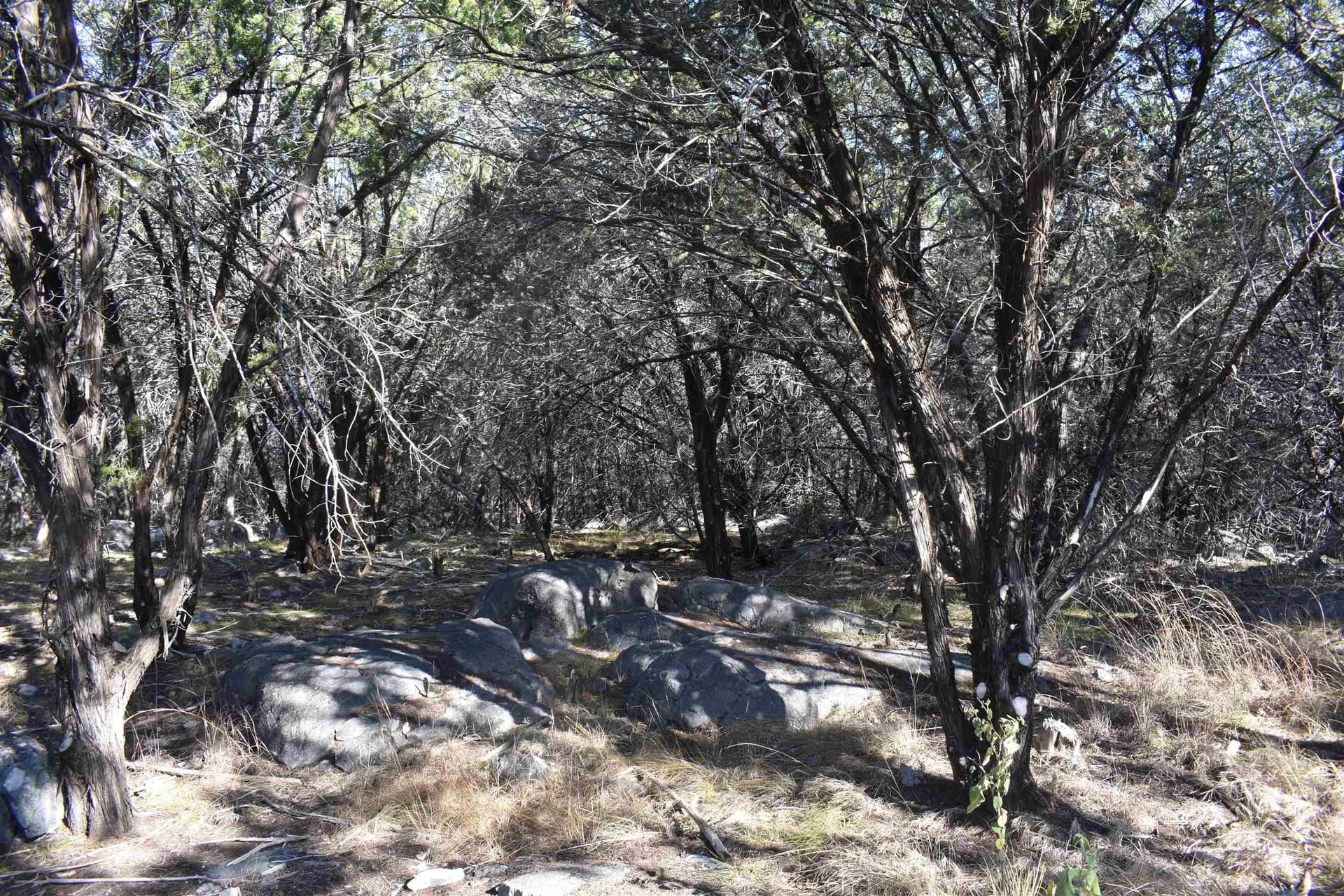 0.28 acres in Burnet County gallery image 3