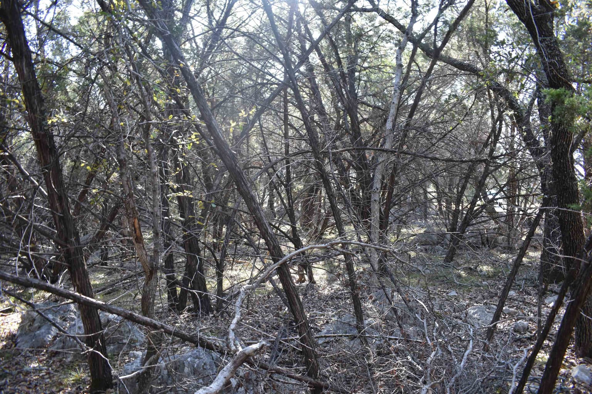 0.28 acres in Burnet County - photo 6