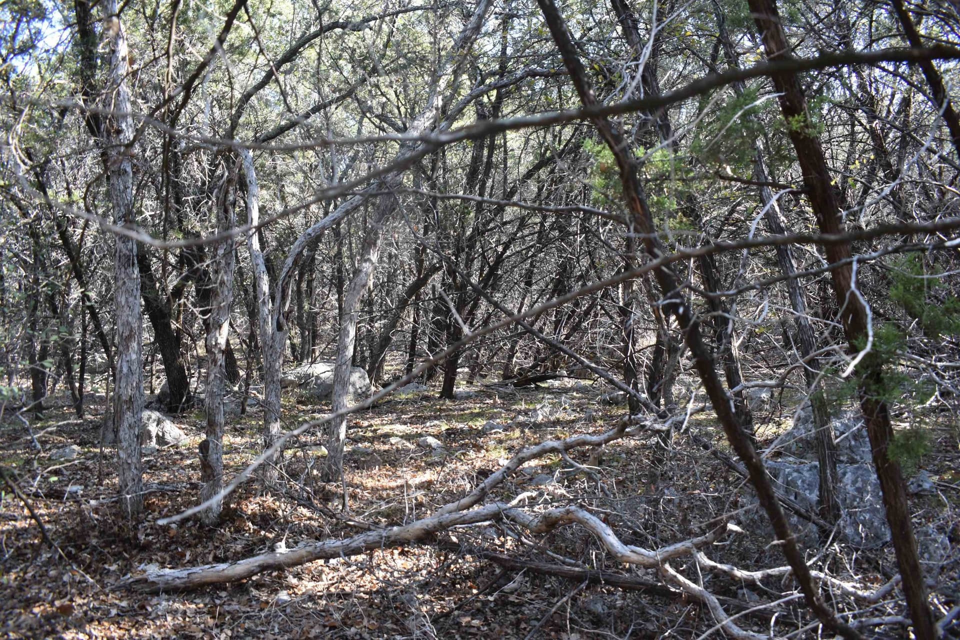 0.28 acres in Burnet County featured view