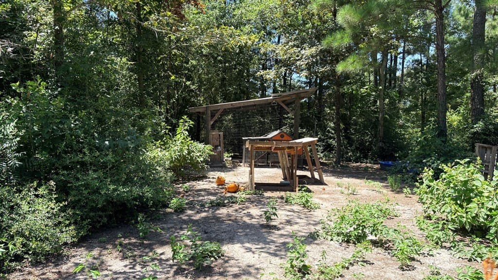 5.68 acres in Texas County - photo 16