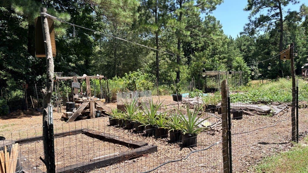 5.68 acres in Texas County - photo 15