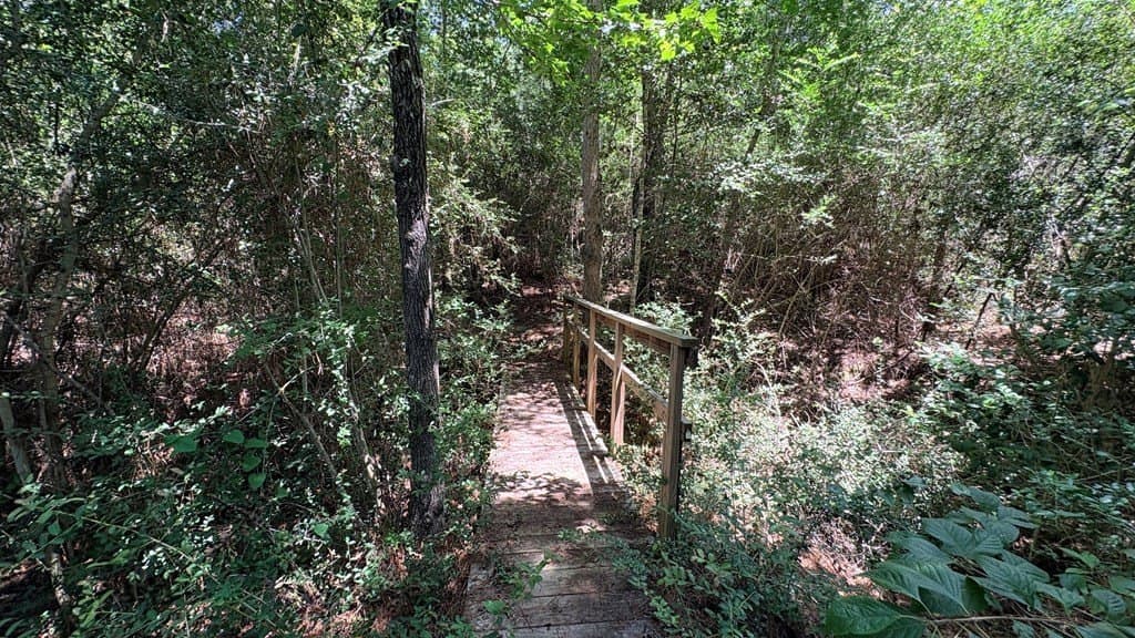 5.68 acres in Texas County - photo 8