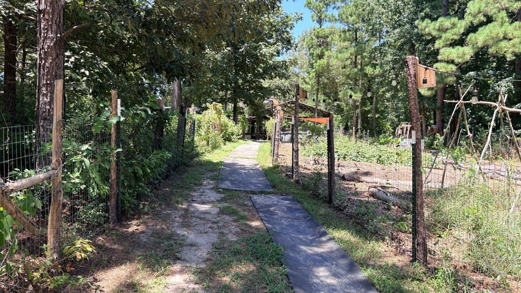 5.68 acres in Texas County - photo 13