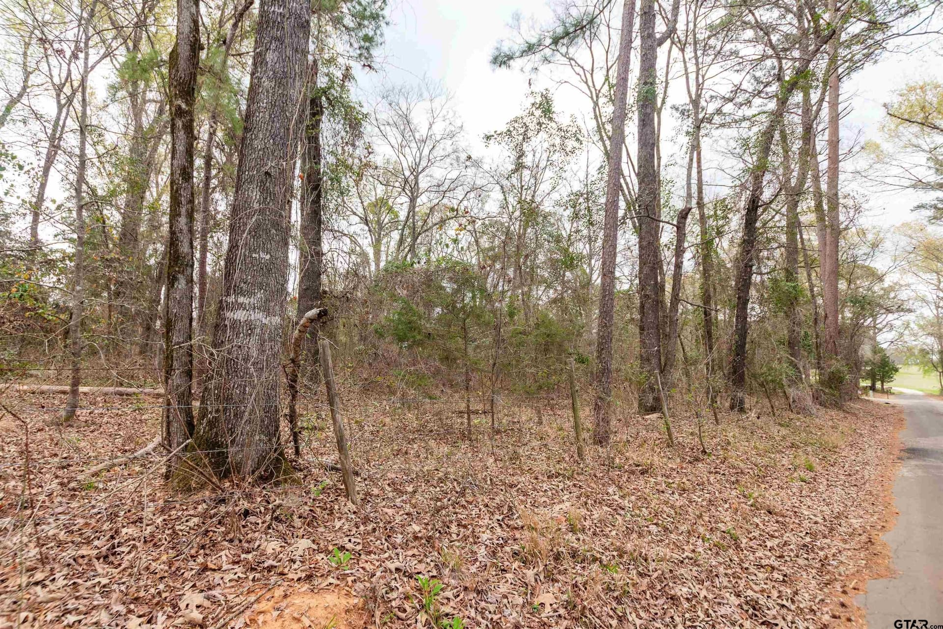 2.75 acres in Smith County - photo 3