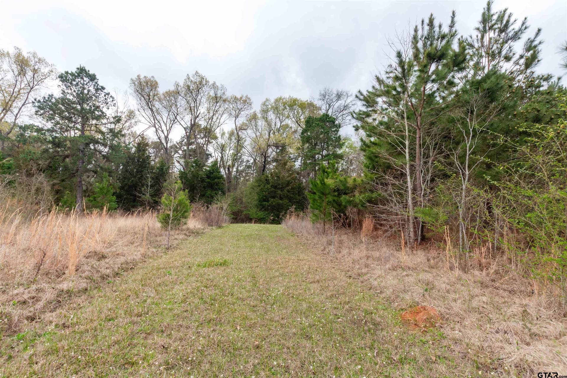2.75 acres in Smith County - photo 8