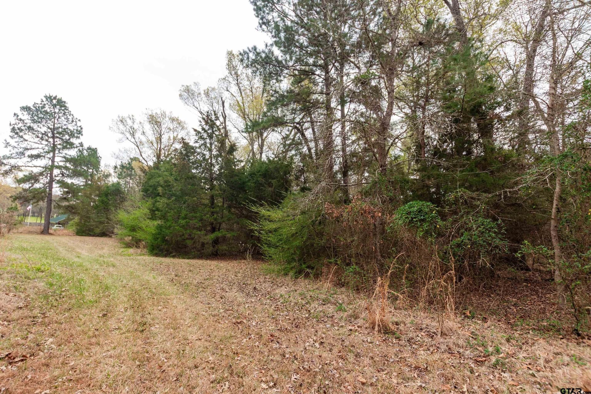 2.75 acres in Smith County - photo 6