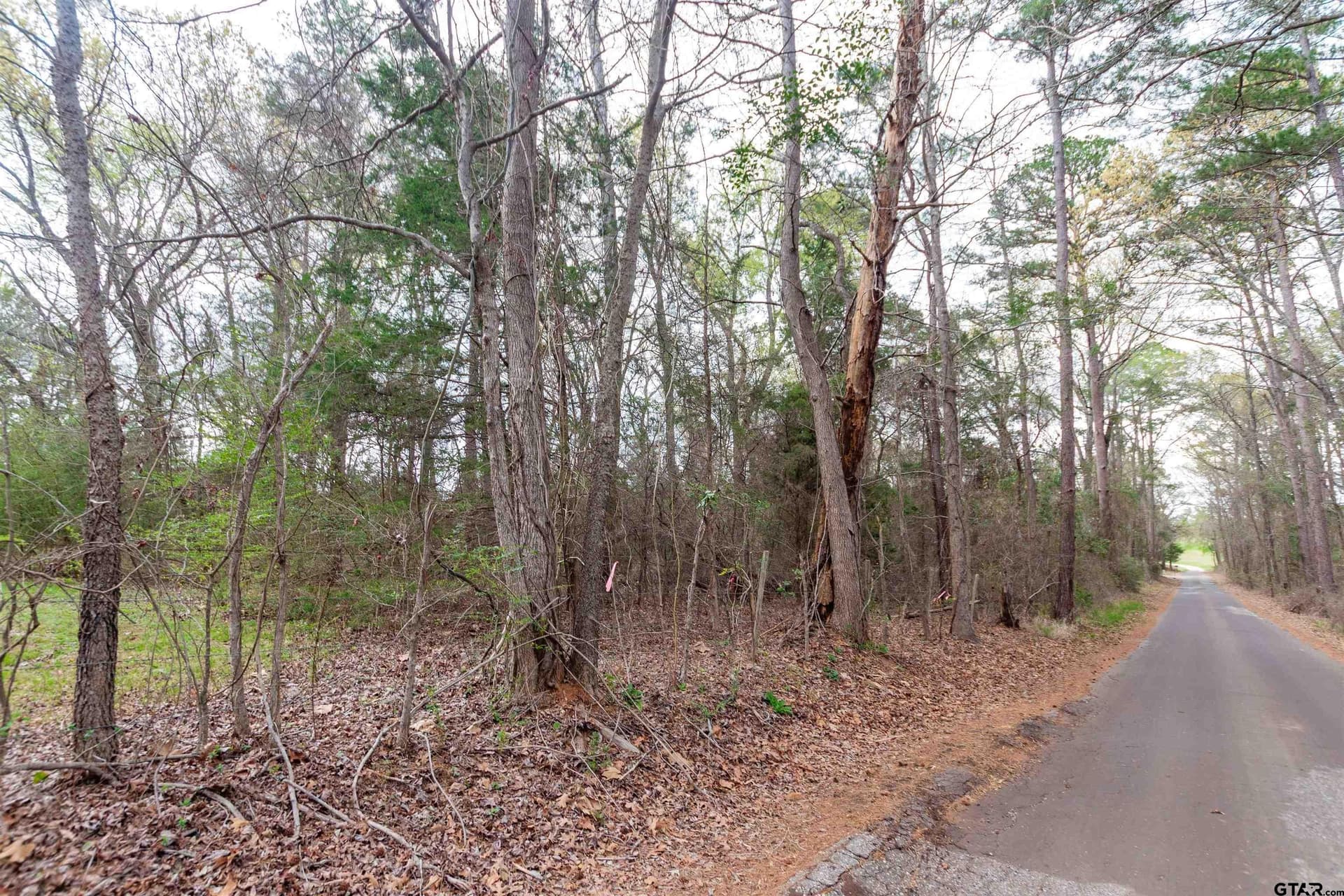 2.75 acres in Smith County - photo 4