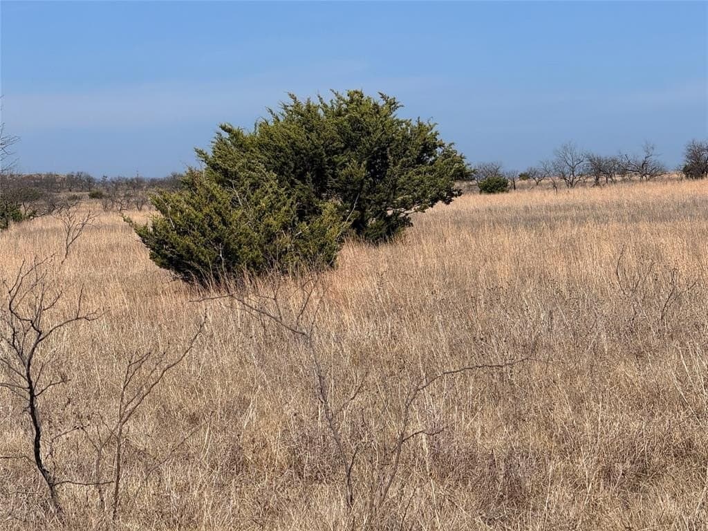 27 acres in Hamilton County gallery image 3