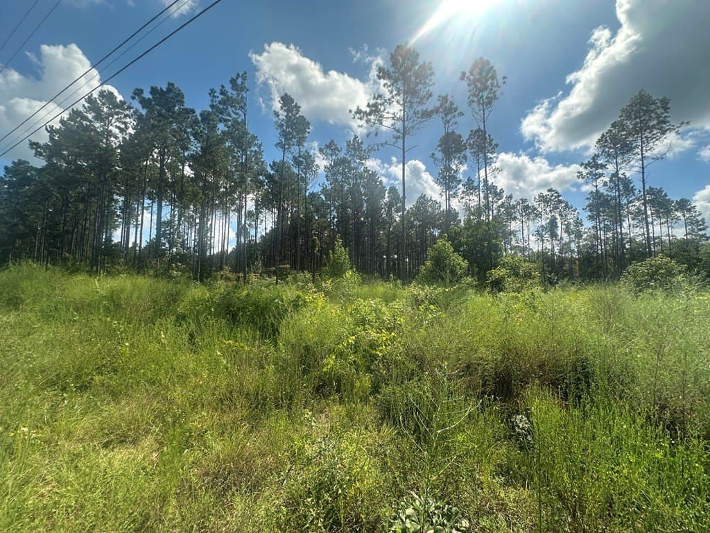 10.01 acres in Texas County - photo 2