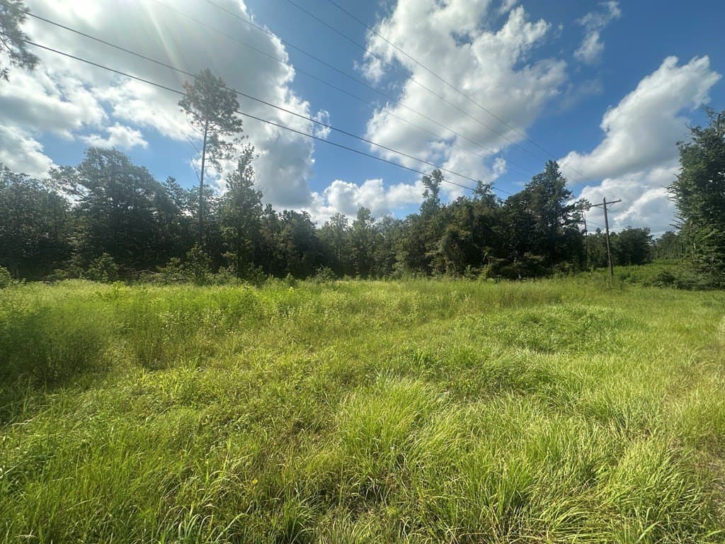 10.01 acres in Texas County - photo 6