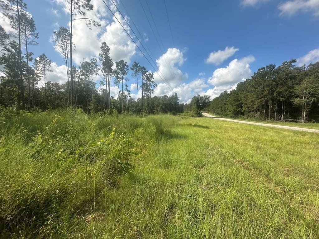 10.01 acres in Texas County - photo 4