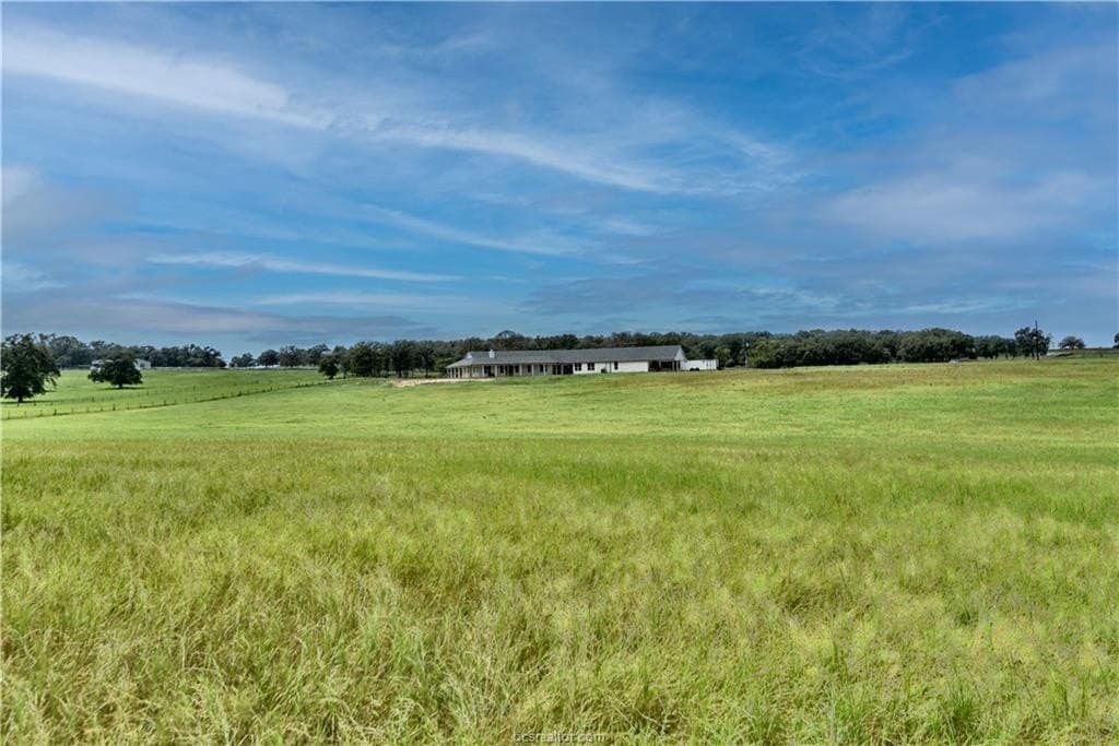 25 acres in Milam County gallery image 3