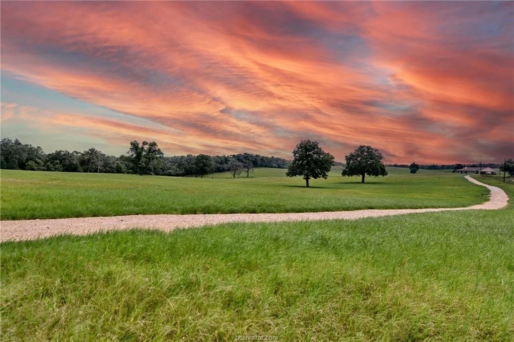 25 acres in Milam County - photo 31