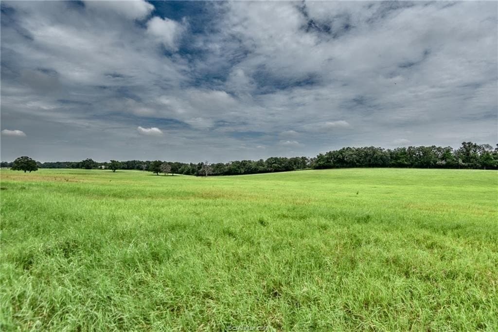 25 acres in Milam County - photo 33