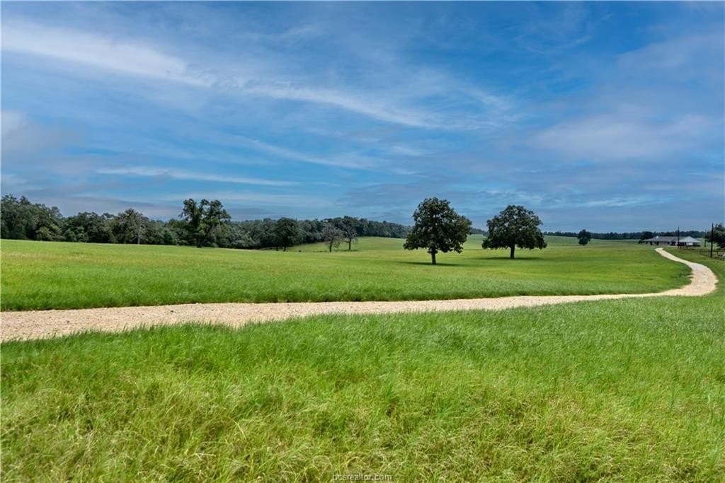25 acres in Milam County - photo 6