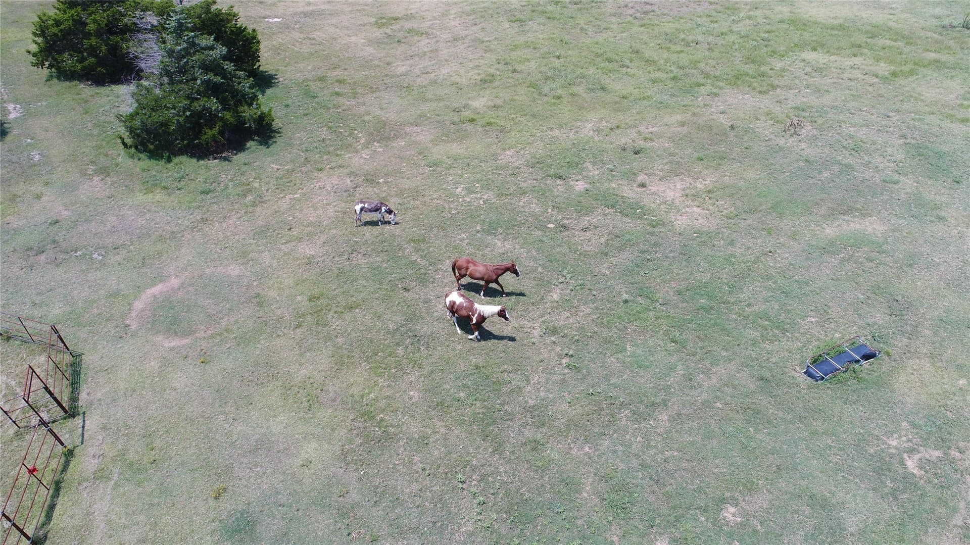 11.87 acres in Navarro County - photo 13