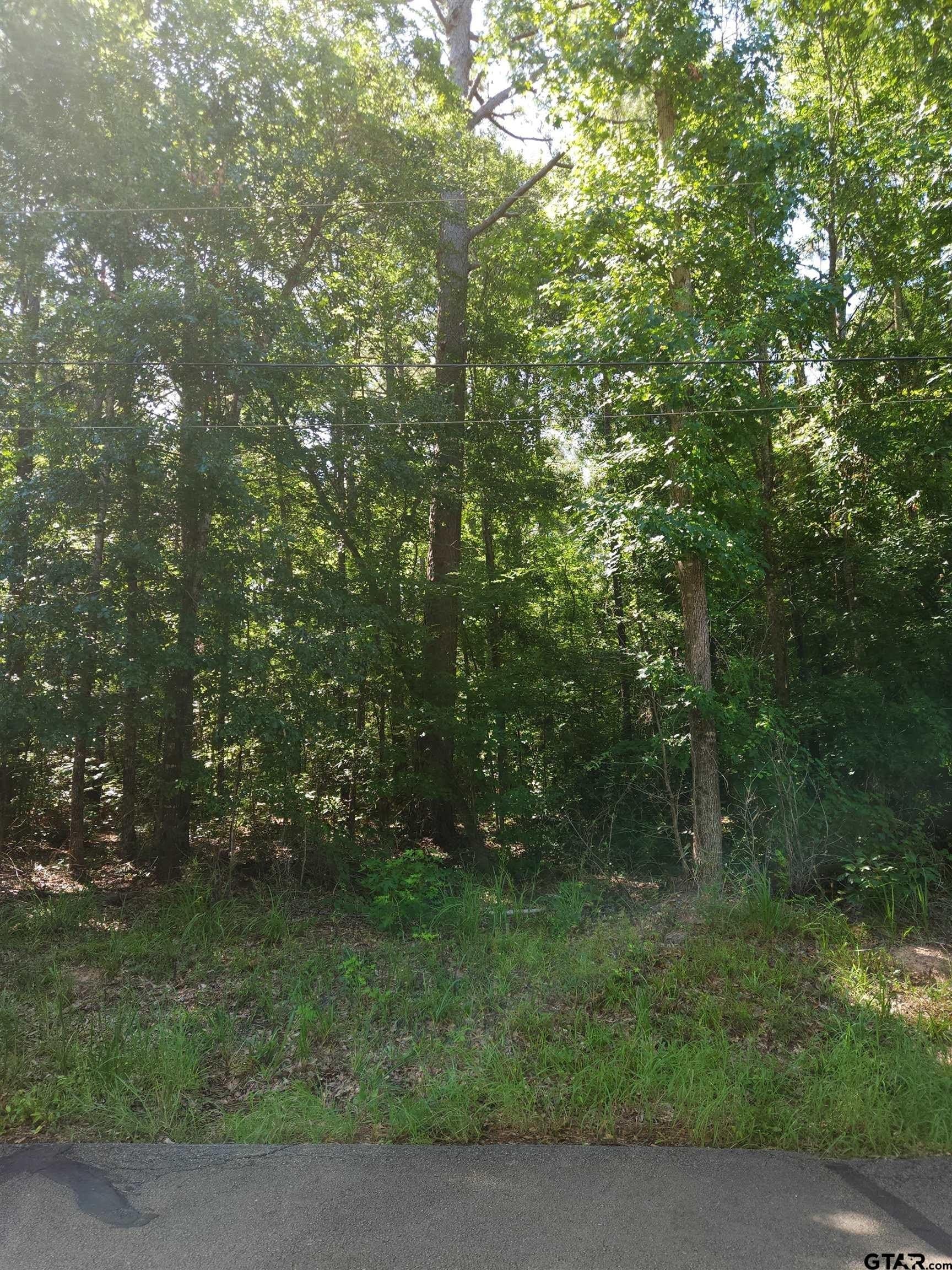 4.05 acres in Cherokee County - photo 6