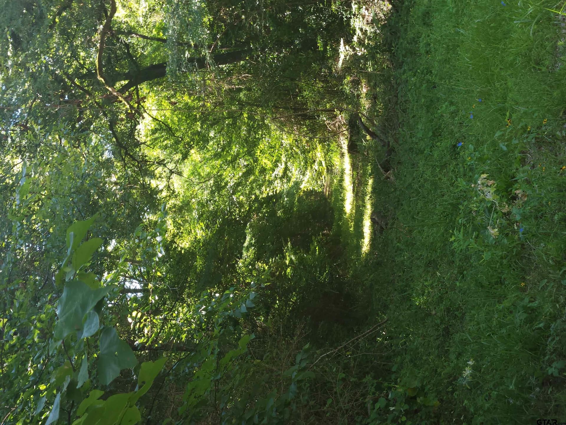 4.05 acres in Cherokee County - photo 7