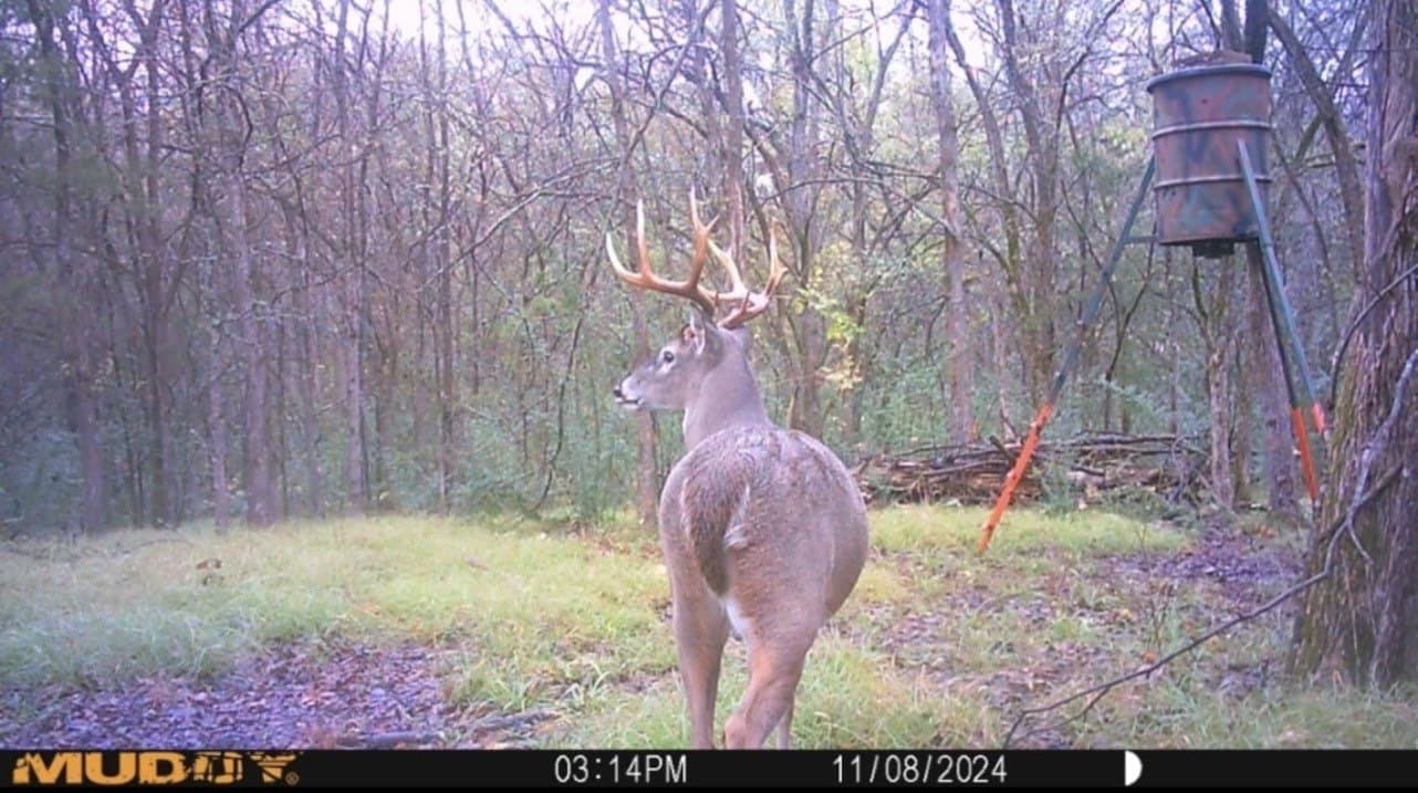 17.73 acres in Delta County - photo 40