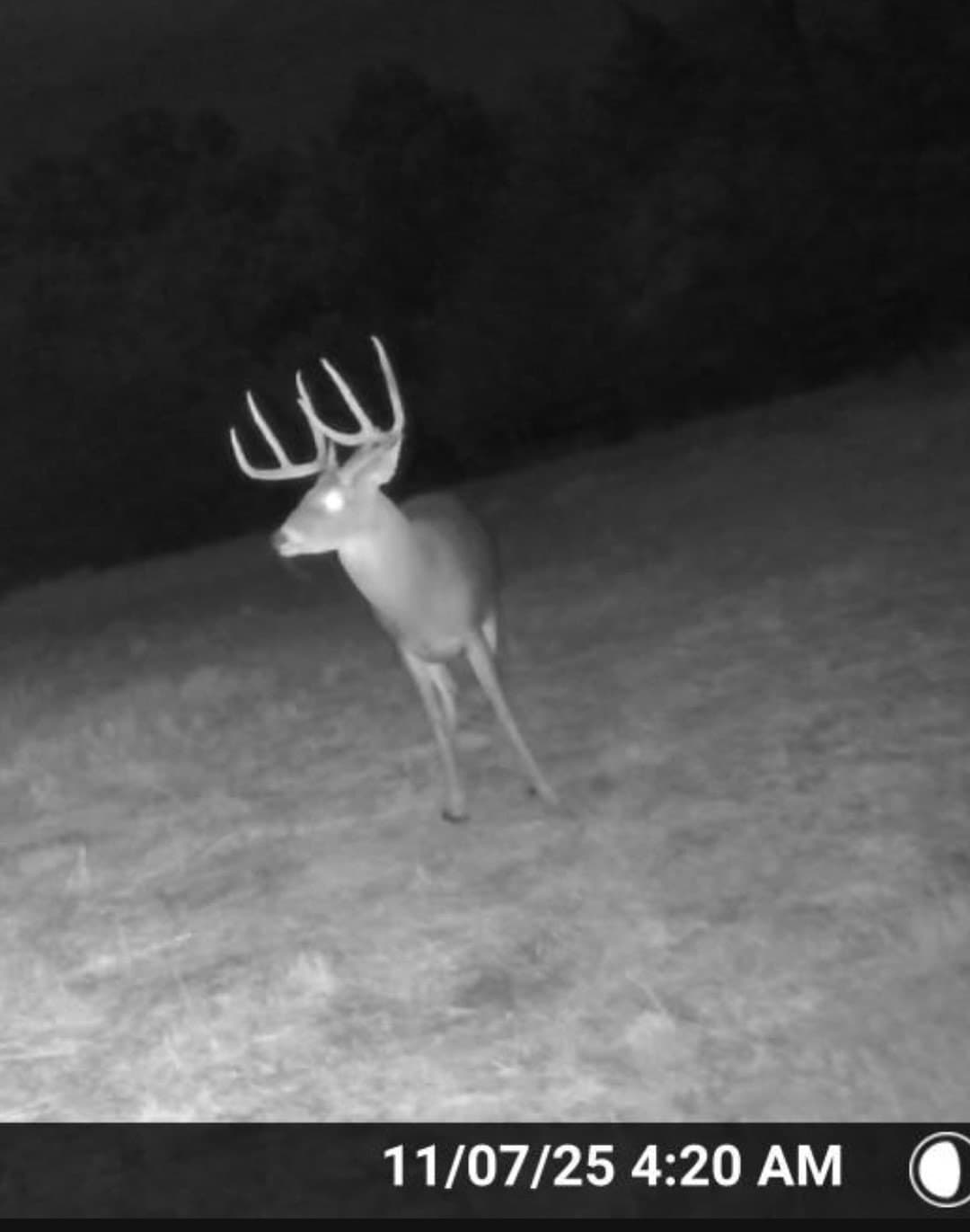 17.73 acres in Delta County - photo 39