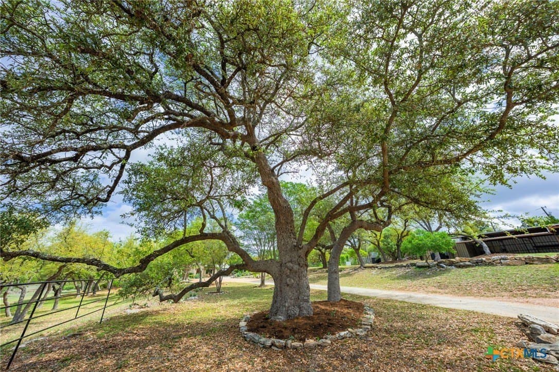 18.24 acres in Hays County - photo 44