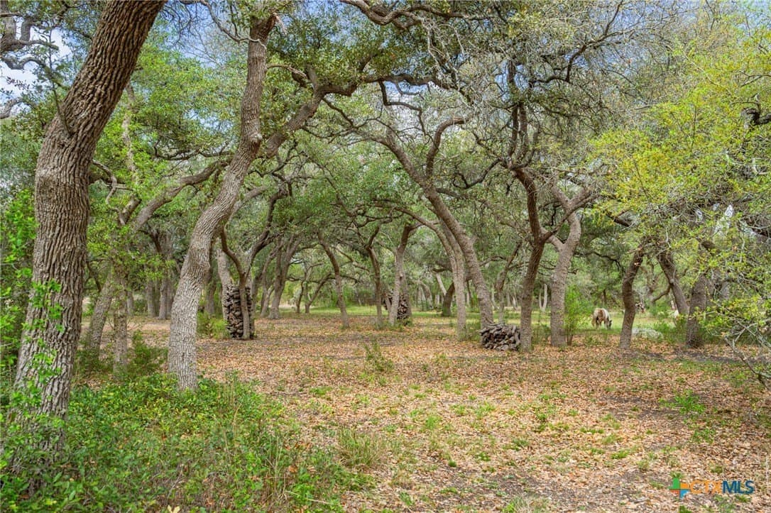 18.24 acres in Hays County - photo 39