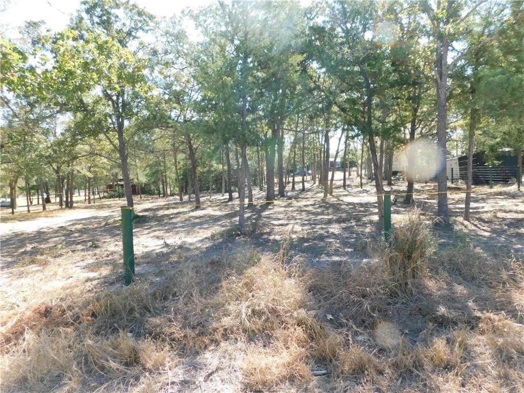 0.34 acres in Burleson County - photo 14