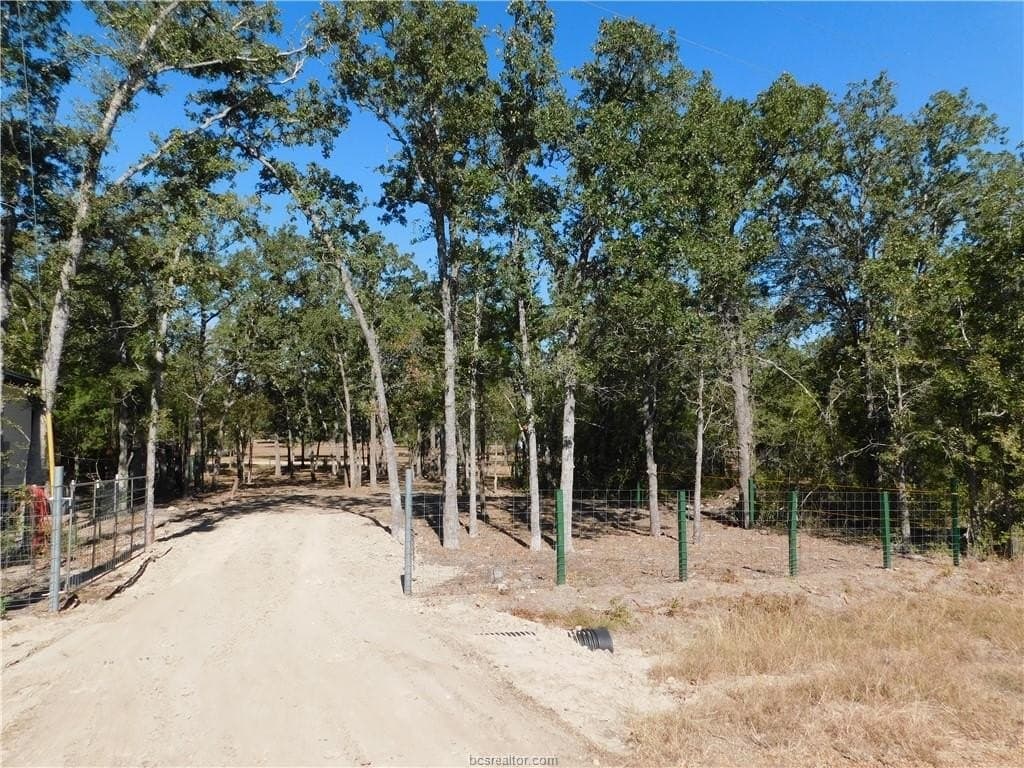 0.34 acres in Burleson County gallery image 2
