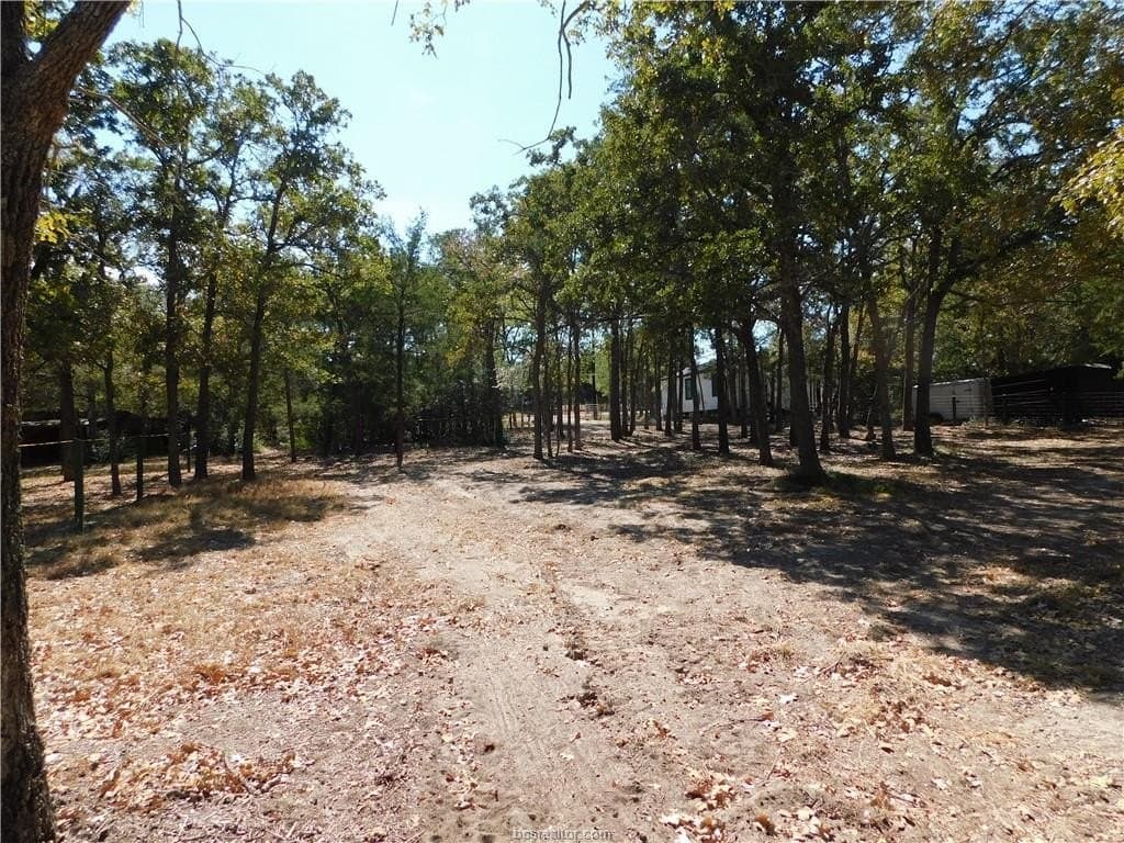 0.34 acres in Burleson County - photo 11