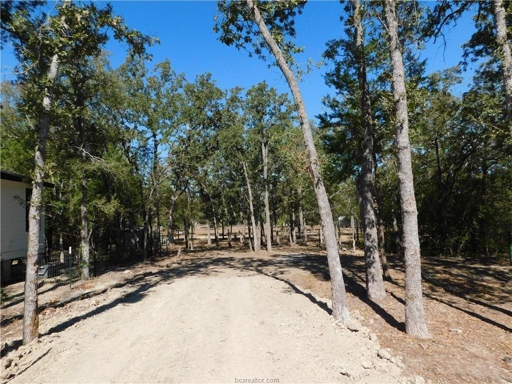 0.34 acres in Burleson County gallery image 4