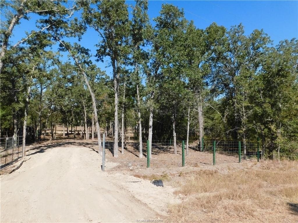 0.34 acres in Burleson County gallery image 3