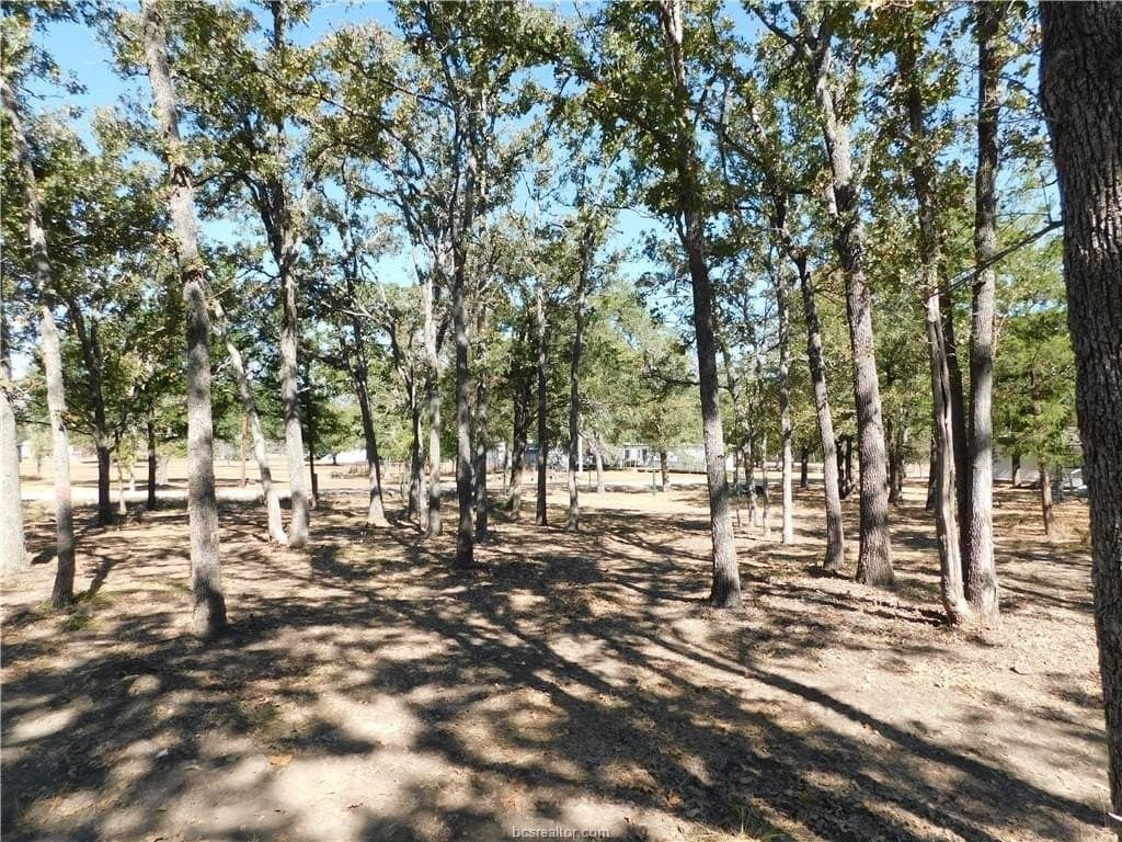 0.34 acres in Burleson County - photo 7