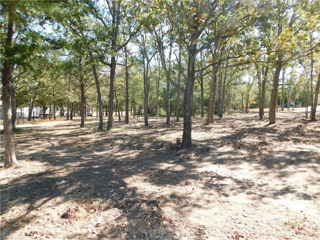 0.34 acres in Burleson County - photo 15