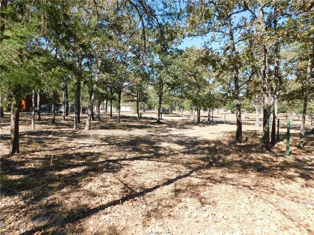0.34 acres in Burleson County - photo 8