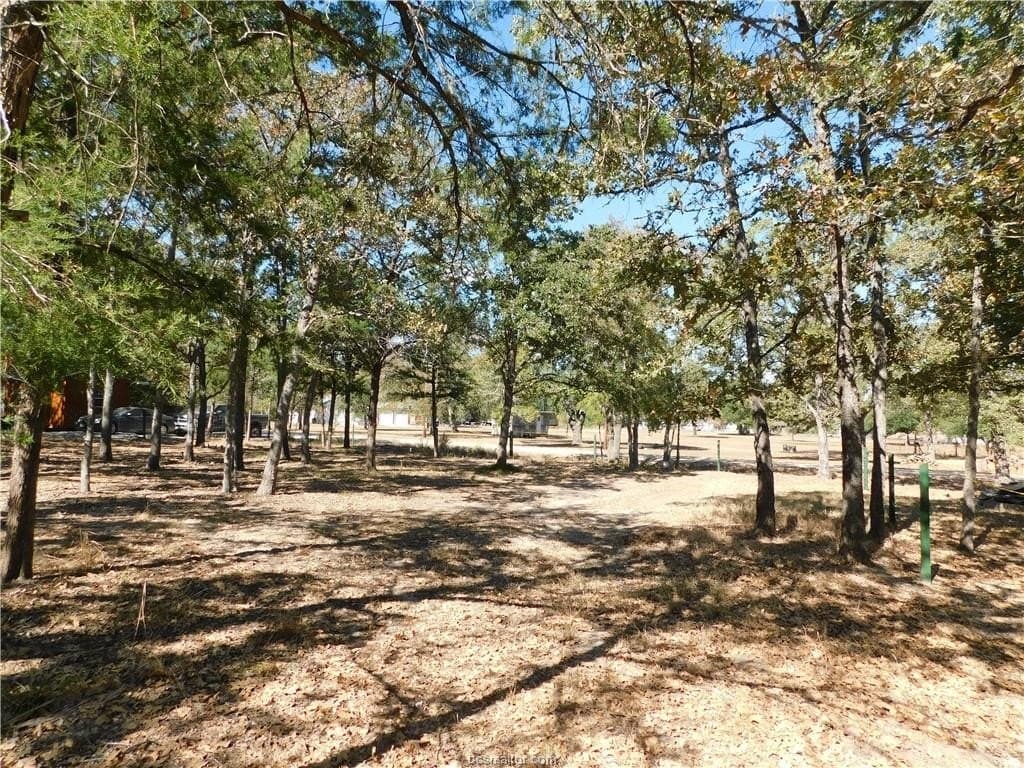 0.34 acres in Burleson County - photo 9