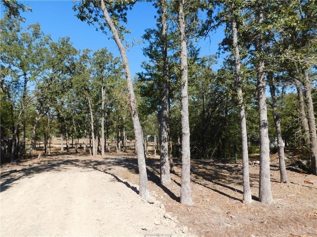 0.34 acres in Burleson County featured view