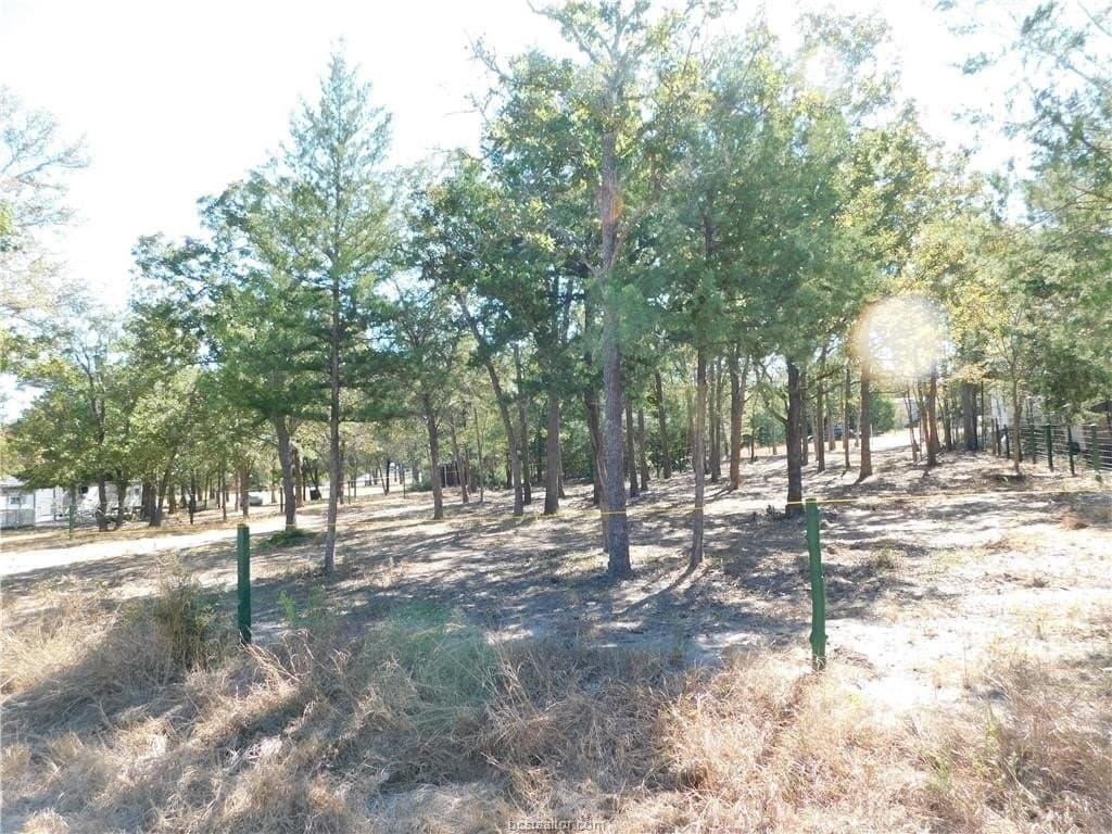 0.34 acres in Burleson County - photo 13