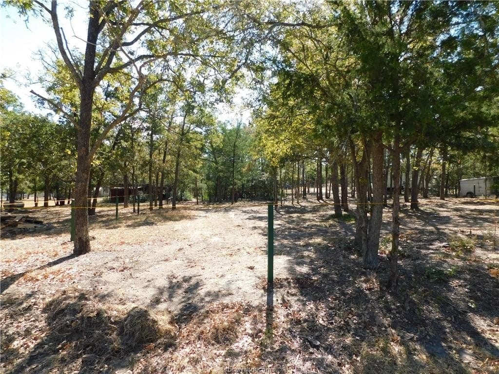 0.34 acres in Burleson County - photo 12
